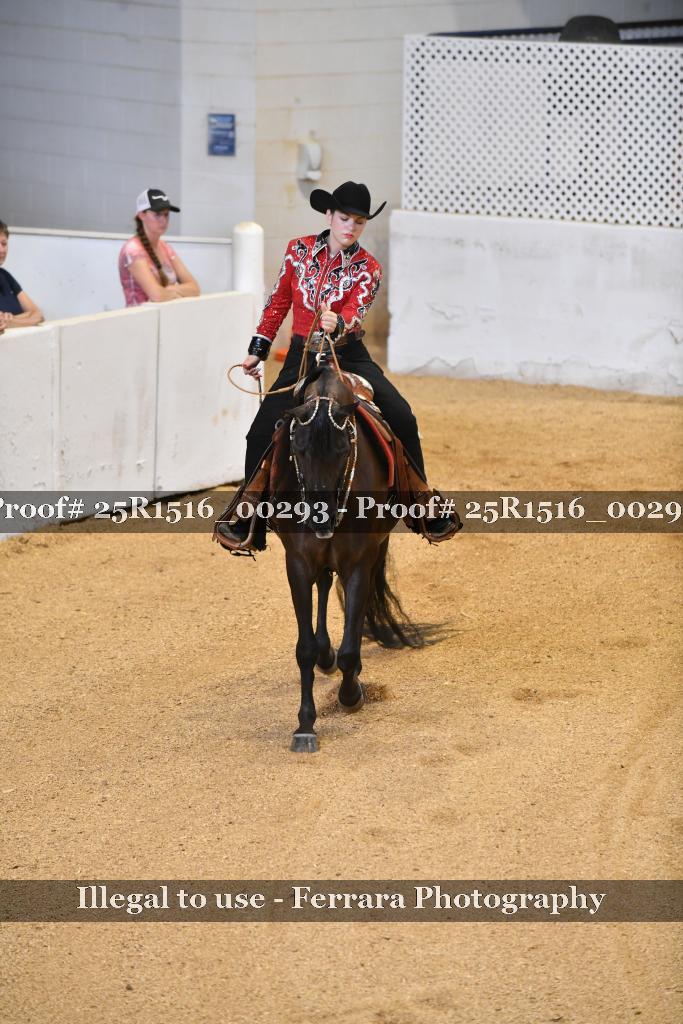 Proof Number 25R1516_00293