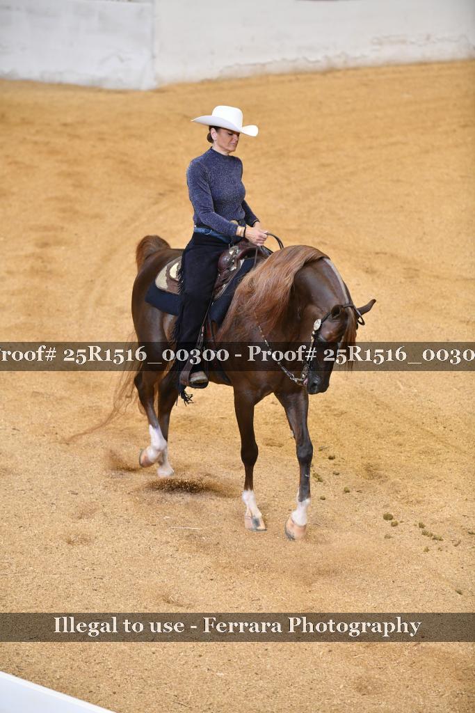 Proof Number 25R1516_00300
