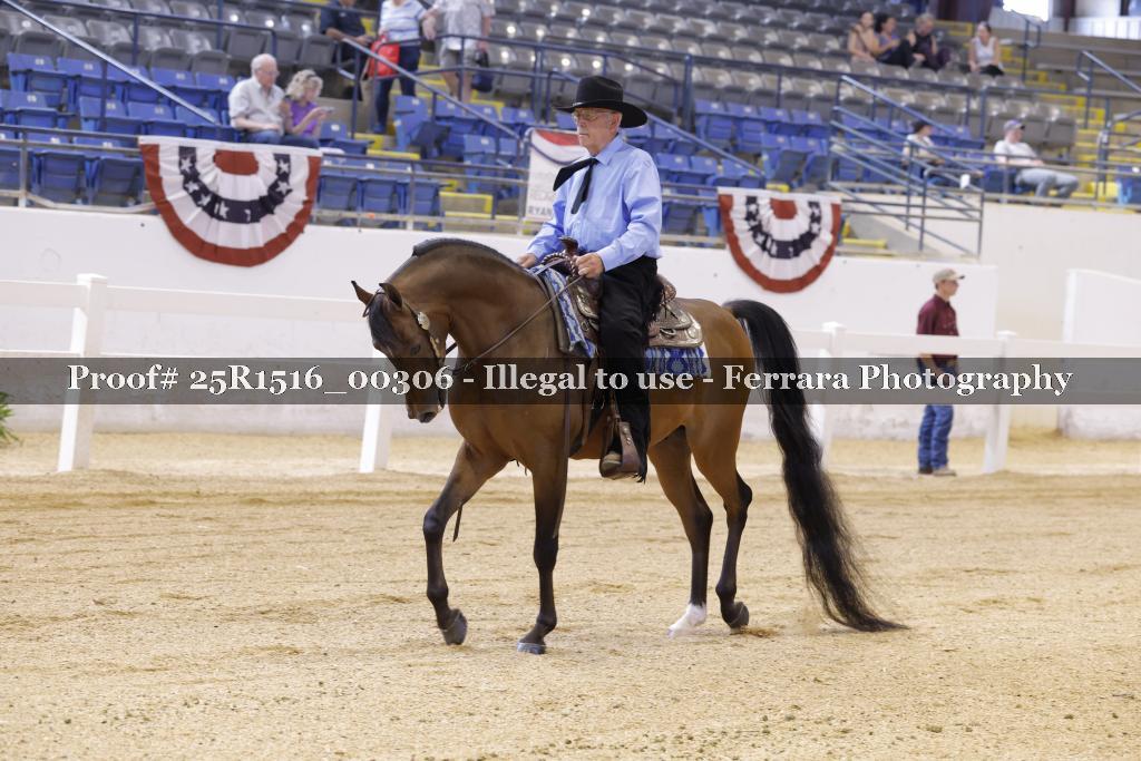 Proof Number 25R1516_00306