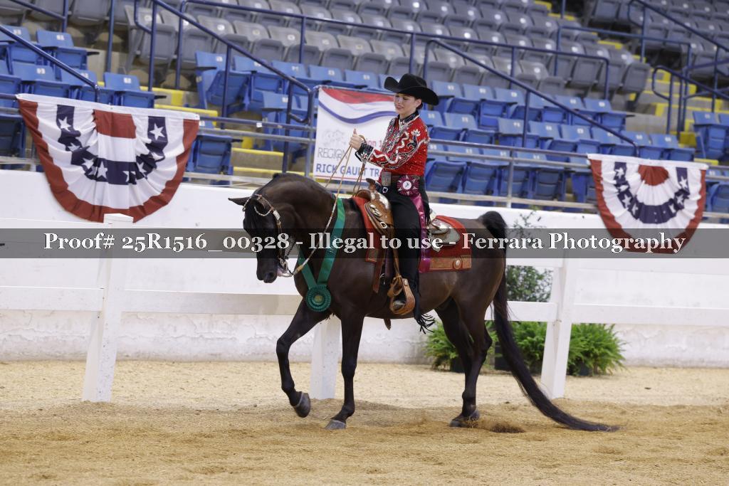 Proof Number 25R1516_00328
