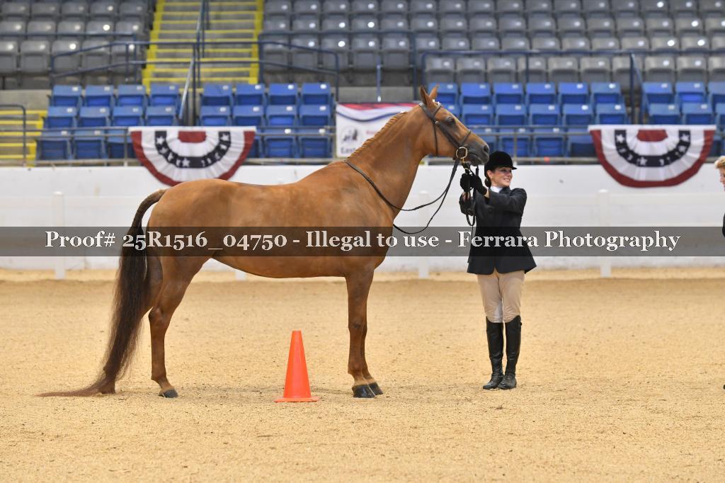 Proof Number 25R1516_04750