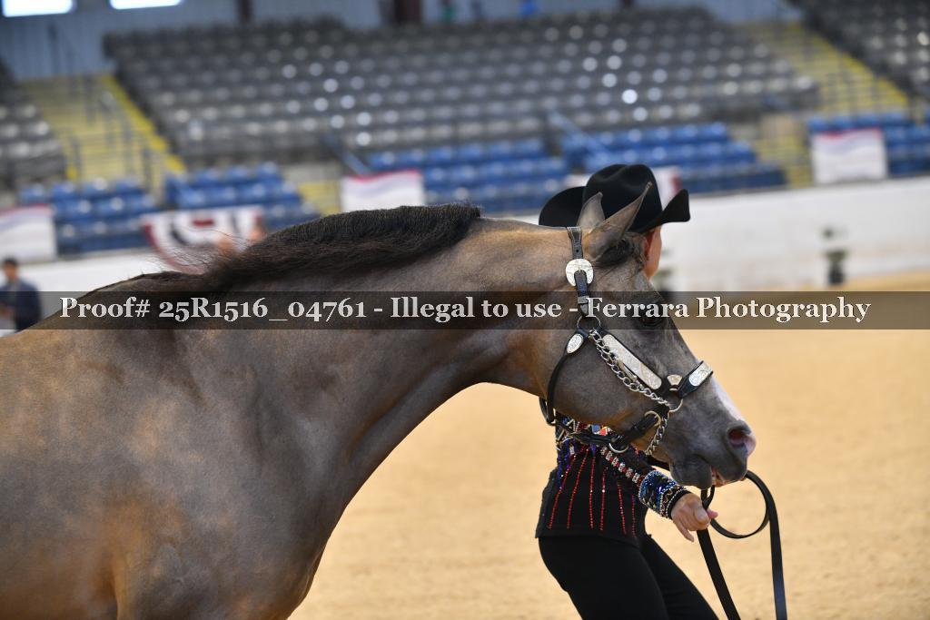 Proof Number 25R1516_04761