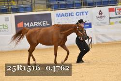 25R1516_04762 thumbnail
