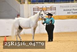 25R1516_04779 thumbnail