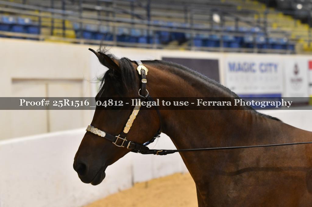 Proof Number 25R1516_04812