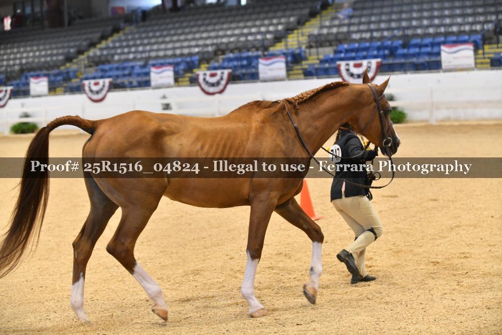 Proof Number 25R1516_04824