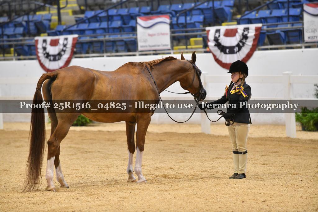 Proof Number 25R1516_04825