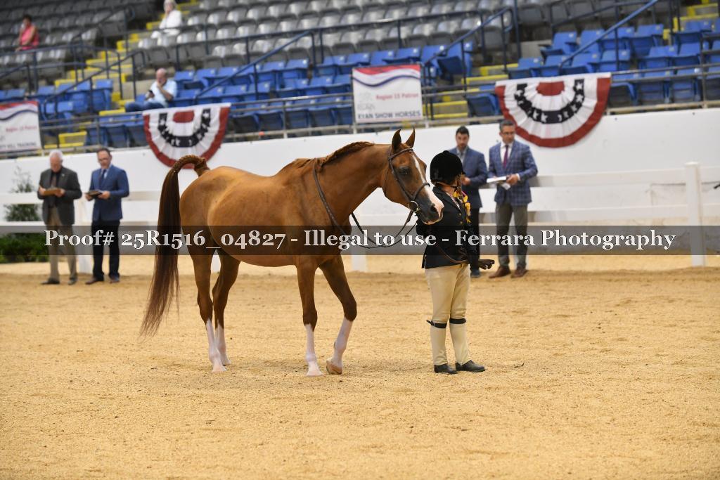 Proof Number 25R1516_04827