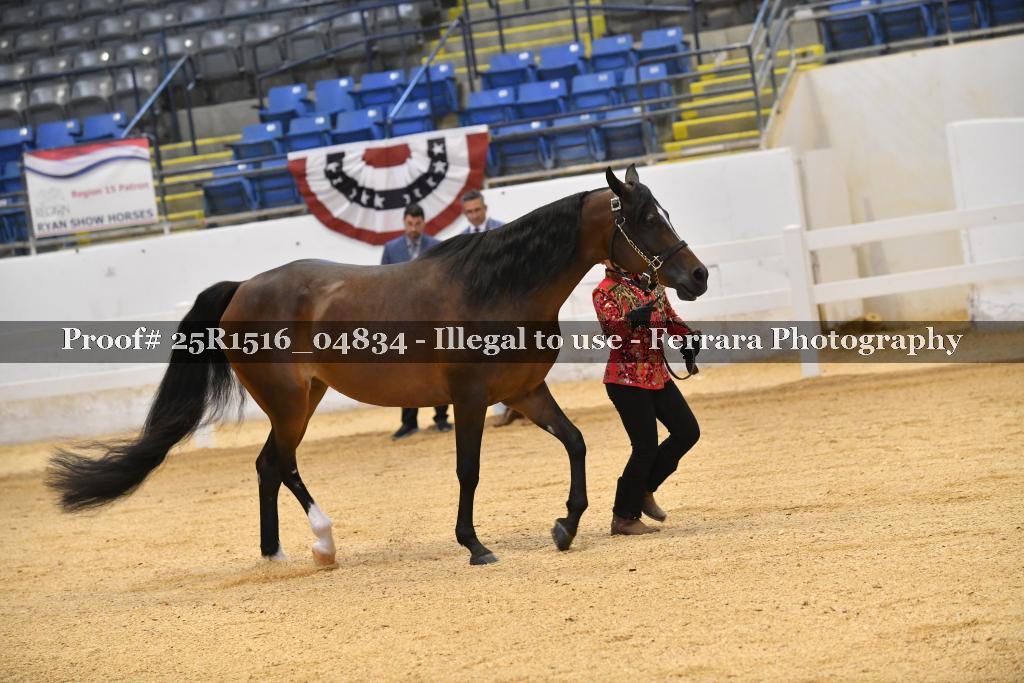 Proof Number 25R1516_04834