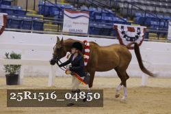 25R1516_04850 thumbnail