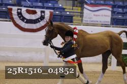25R1516_04852 thumbnail