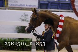 25R1516_04853 thumbnail
