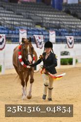 25R1516_04854 thumbnail