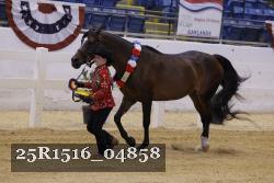 25R1516_04858 thumbnail