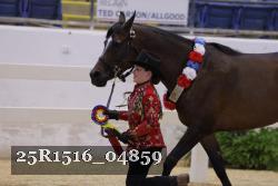 25R1516_04859 thumbnail