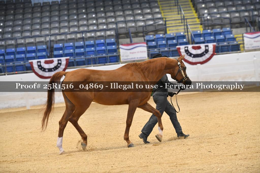 Proof Number 25R1516_04869