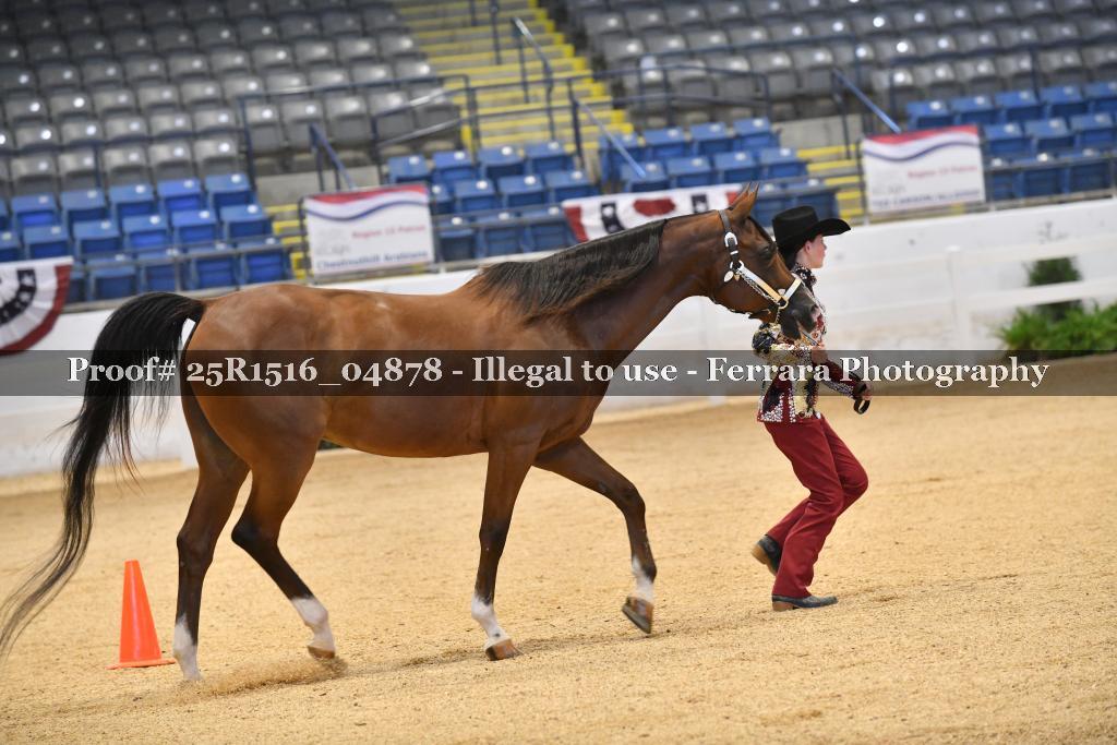 Proof Number 25R1516_04878
