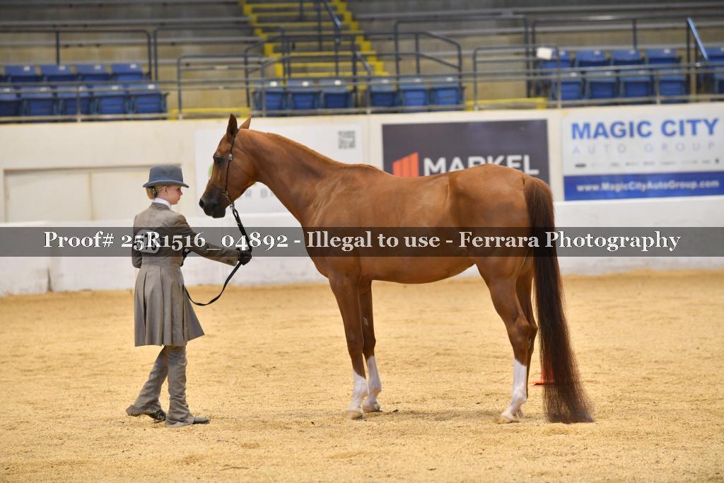 Proof Number 25R1516_04892