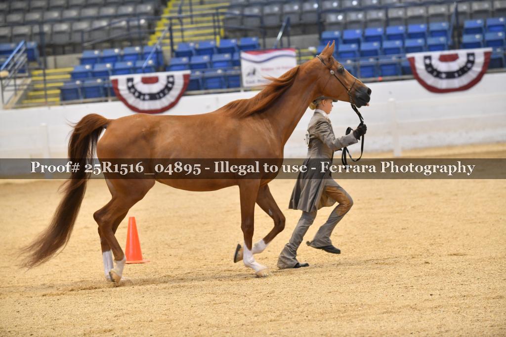 Proof Number 25R1516_04895
