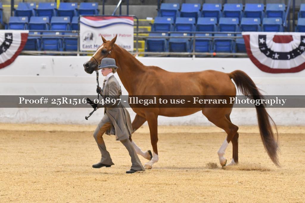 Proof Number 25R1516_04897
