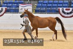 25R1516_04897 thumbnail