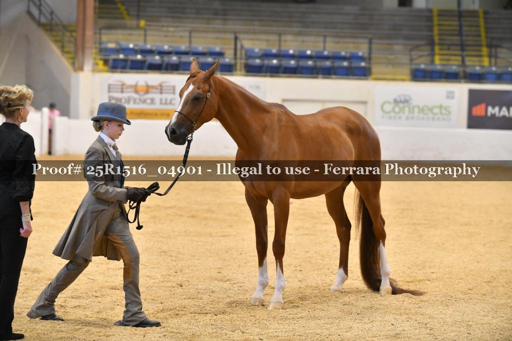 Proof Number 25R1516_04901