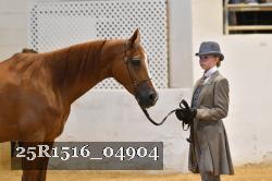 25R1516_04904 thumbnail