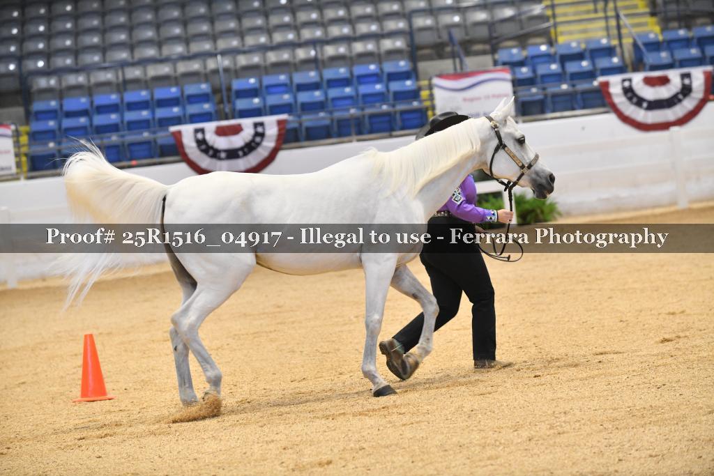 Proof Number 25R1516_04917