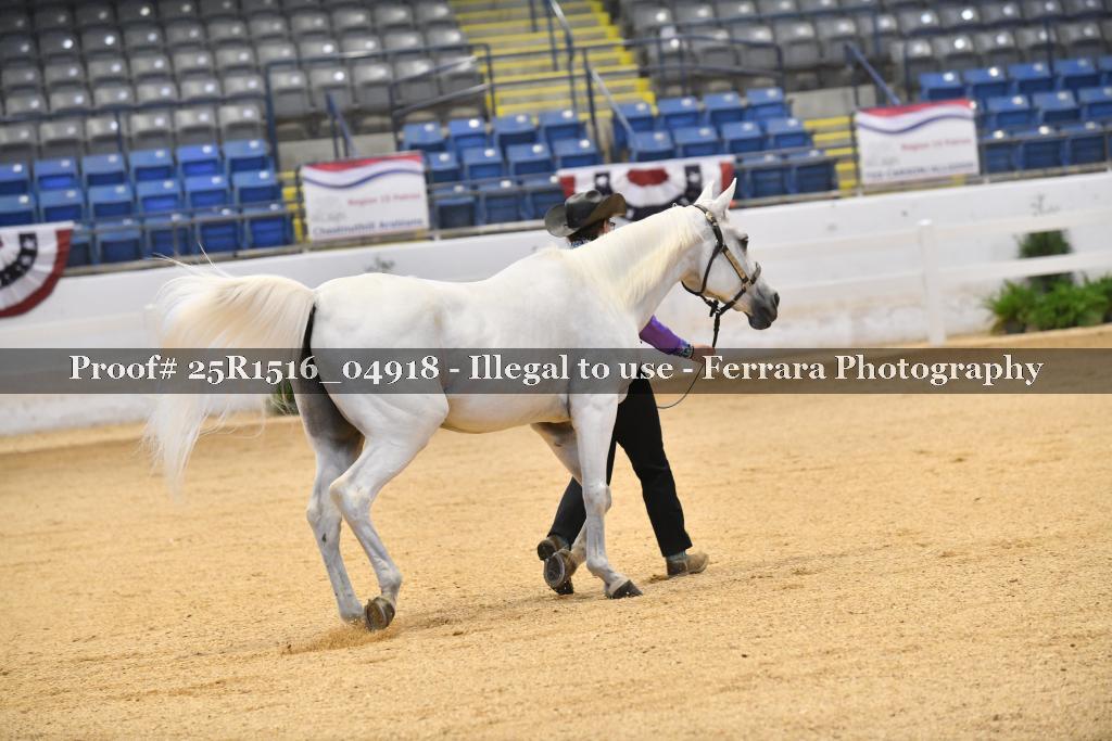 Proof Number 25R1516_04918