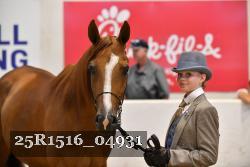 25R1516_04931 thumbnail