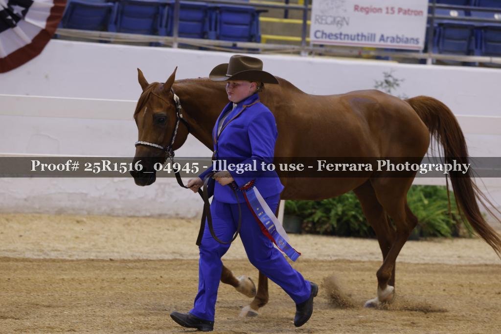 Proof Number 25R1516_04945