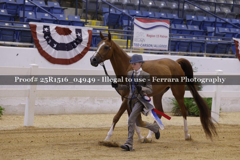 Proof Number 25R1516_04949