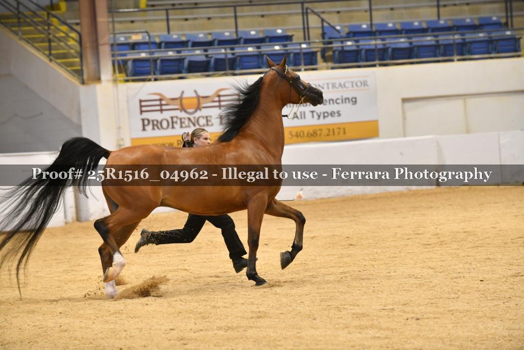 Proof Number 25R1516_04962