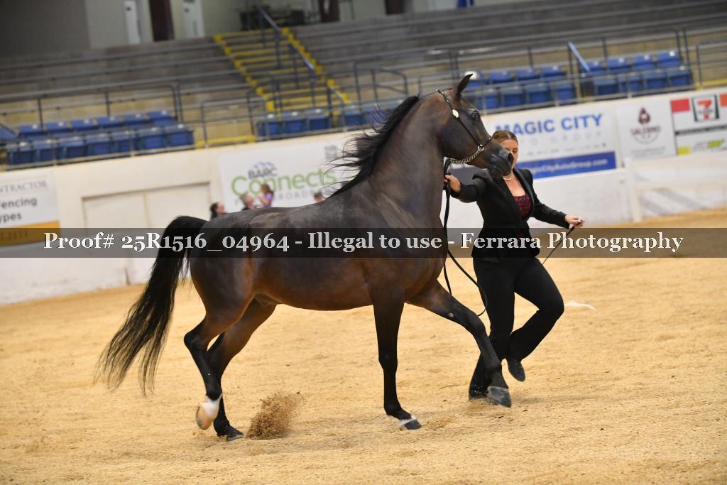 Proof Number 25R1516_04964