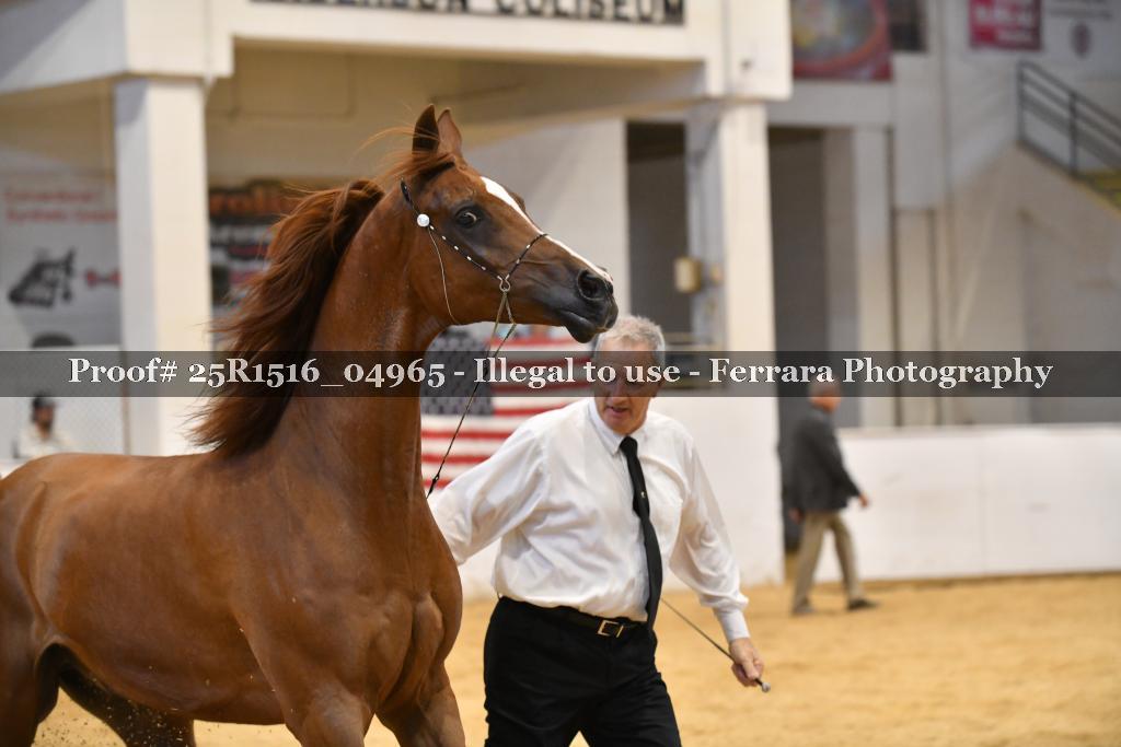 Proof Number 25R1516_04965