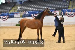 25R1516_04973 thumbnail
