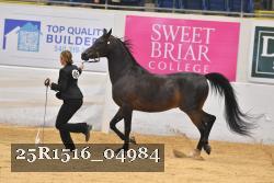 25R1516_04984 thumbnail