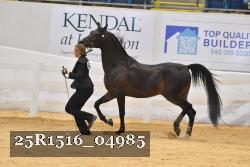 25R1516_04985 thumbnail