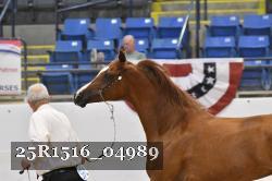 25R1516_04989 thumbnail