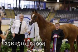 25R1516_04994 thumbnail