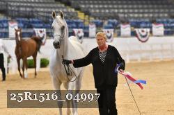 25R1516_04997 thumbnail