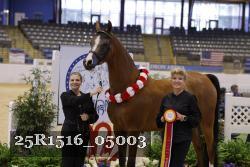 25R1516_05003 thumbnail