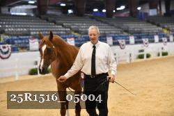 25R1516_05004 thumbnail