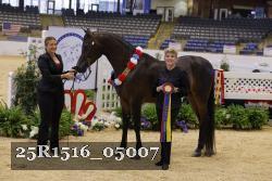 25R1516_05007 thumbnail