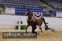 25R1516_05010 thumbnail