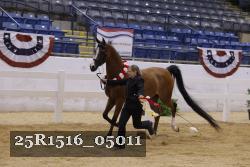 25R1516_05011 thumbnail