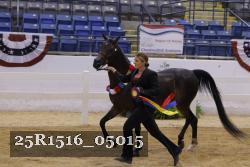 25R1516_05015 thumbnail