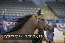 25R1516_05023 thumbnail