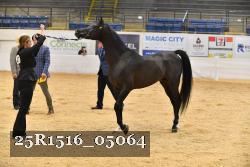 25R1516_05064 thumbnail