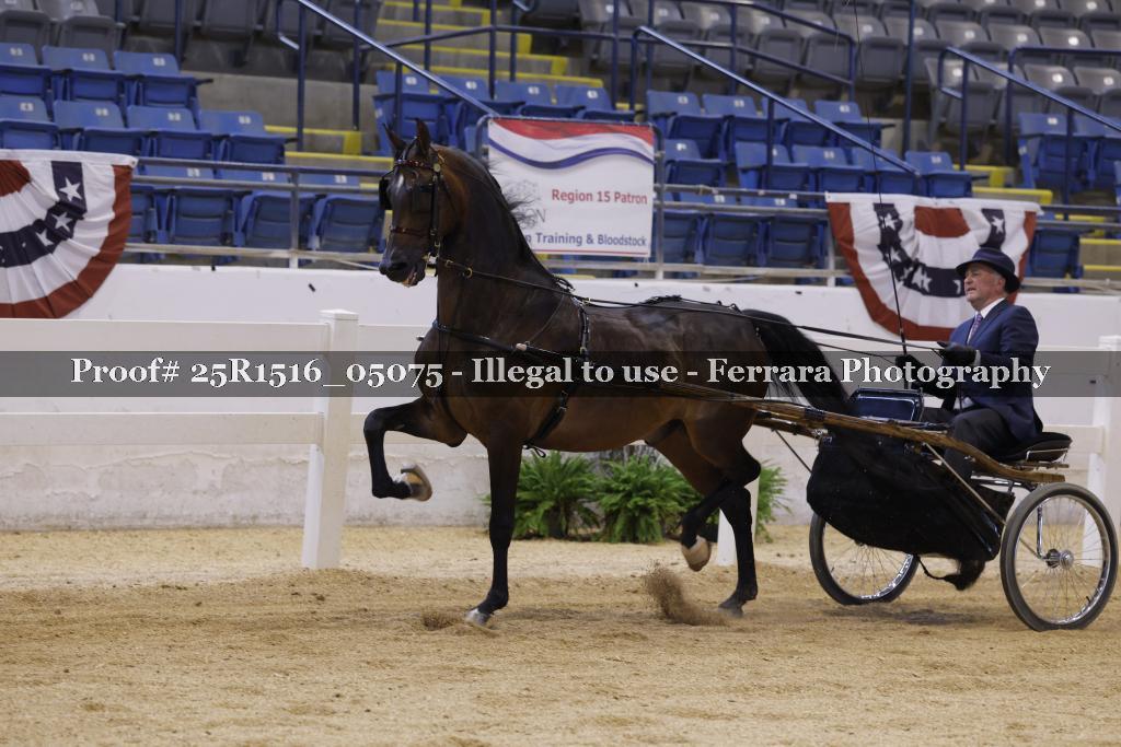 Proof Number 25R1516_05075